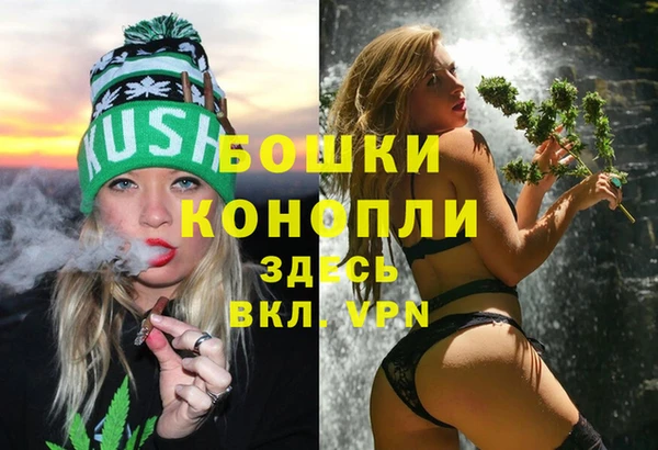 ПСИЛОЦИБИНОВЫЕ ГРИБЫ Лиски