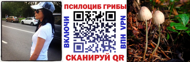 Псилоцибиновые грибы мицелий площадка клад Старый Крым